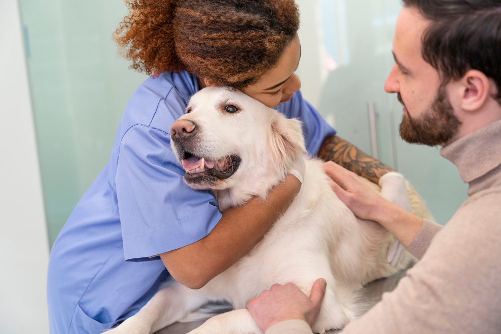 Image de mise en avant de l'article De L’Affection à La Profession : Quand L'Amour Des Animaux Devient Un Métier !